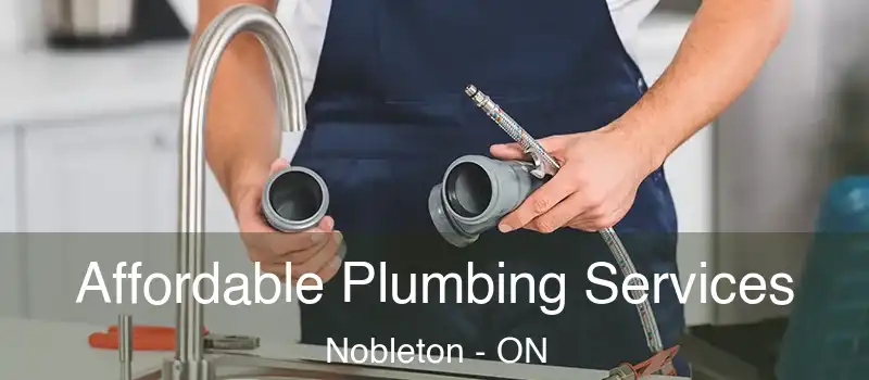  Affordable Plumbing Services Nobleton - ON