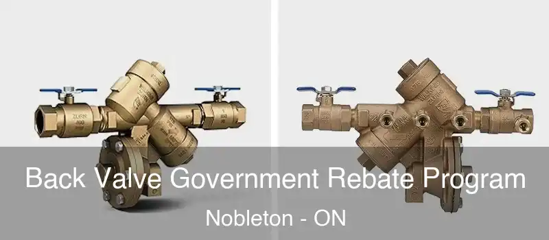  Back Valve Government Rebate Program Nobleton - ON