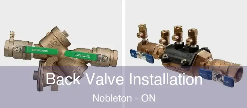  Back Valve Installation Nobleton - ON