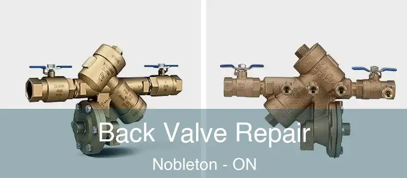  Back Valve Repair Nobleton - ON