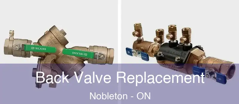  Back Valve Replacement Nobleton - ON
