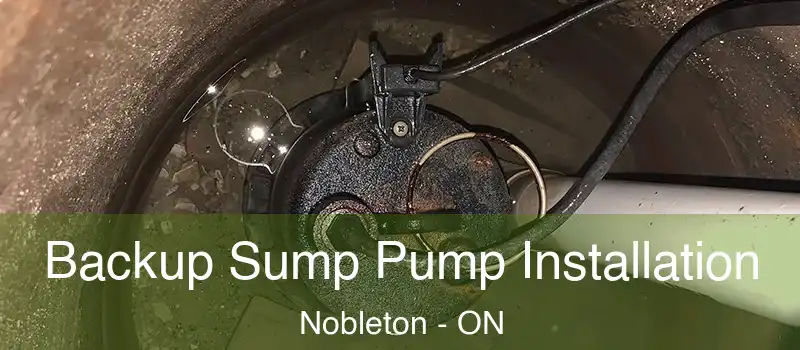  Backup Sump Pump Installation Nobleton - ON