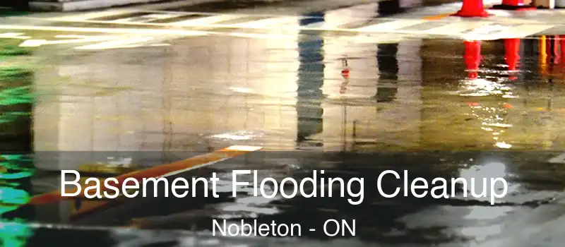  Basement Flooding Cleanup Nobleton - ON