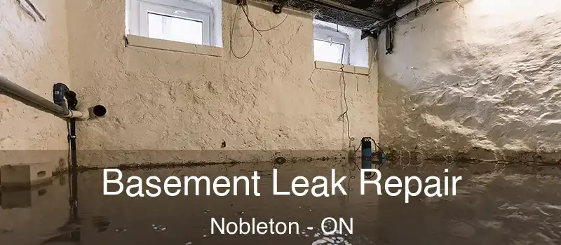  Basement Leak Repair Nobleton - ON