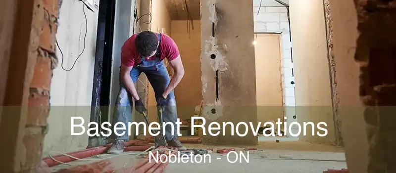  Basement Renovations Nobleton - ON