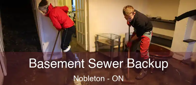  Basement Sewer Backup Nobleton - ON