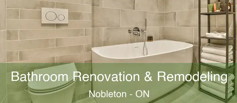  Bathroom Renovation & Remodeling Nobleton - ON