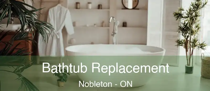  Bathtub Replacement Nobleton - ON