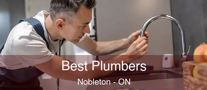  Best Plumbers Nobleton - ON