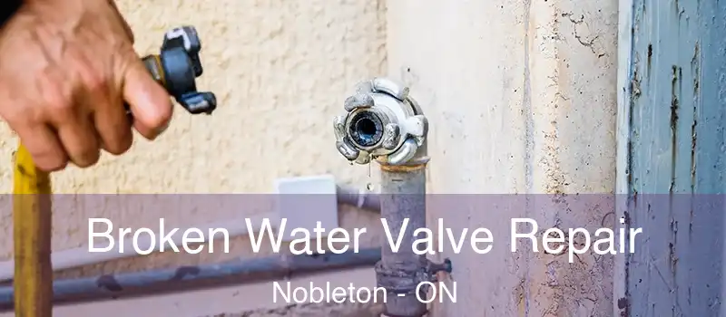  Broken Water Valve Repair Nobleton - ON