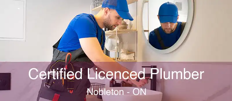  Certified Licenced Plumber Nobleton - ON