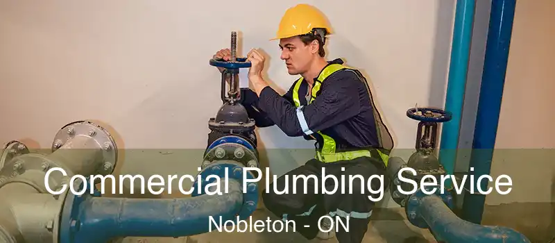  Commercial Plumbing Service Nobleton - ON