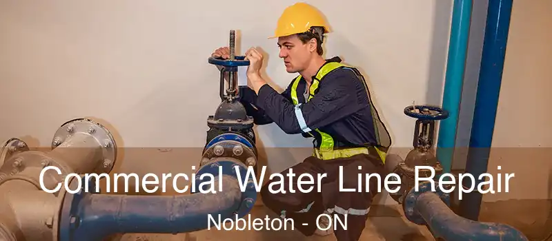  Commercial Water Line Repair Nobleton - ON