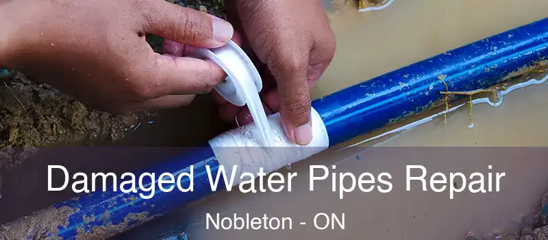  Damaged Water Pipes Repair Nobleton - ON