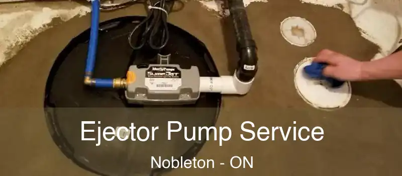  Ejector Pump Service Nobleton - ON