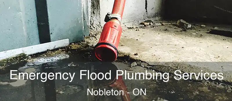  Emergency Flood Plumbing Services Nobleton - ON