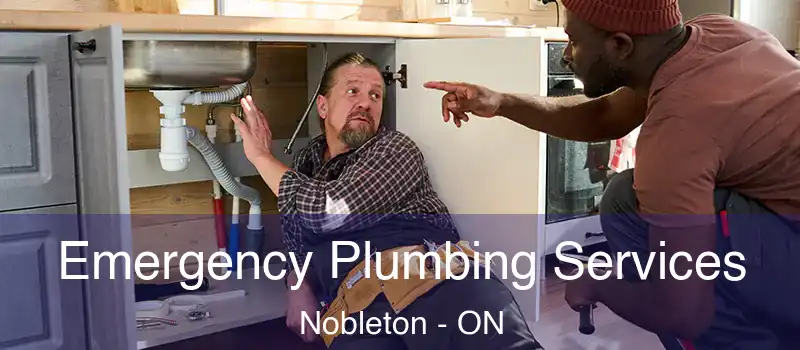  Emergency Plumbing Services Nobleton - ON