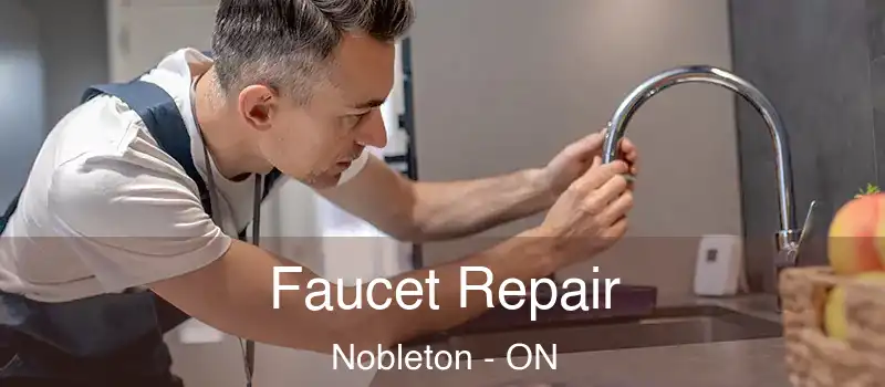  Faucet Repair Nobleton - ON