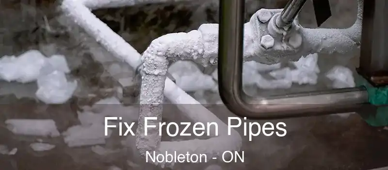  Fix Frozen Pipes Nobleton - ON