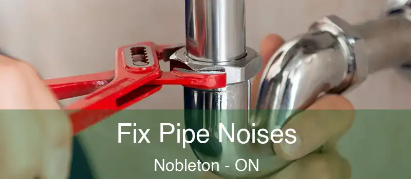  Fix Pipe Noises Nobleton - ON