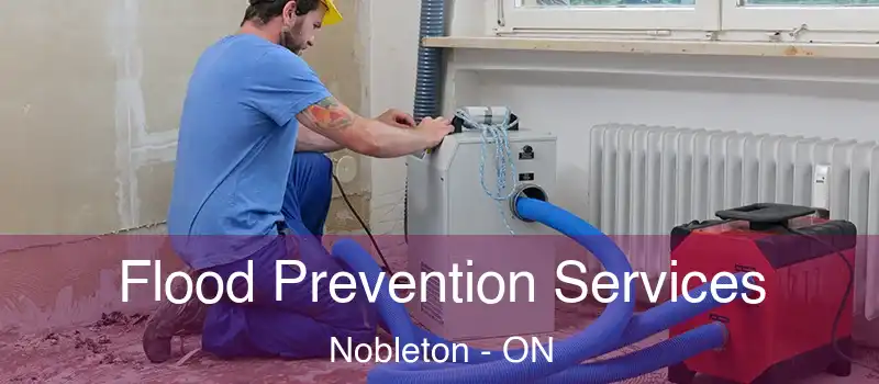  Flood Prevention Services Nobleton - ON