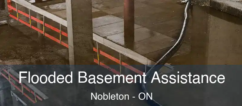  Flooded Basement Assistance Nobleton - ON