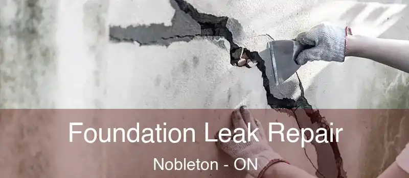 Foundation Leak Repair Nobleton - ON