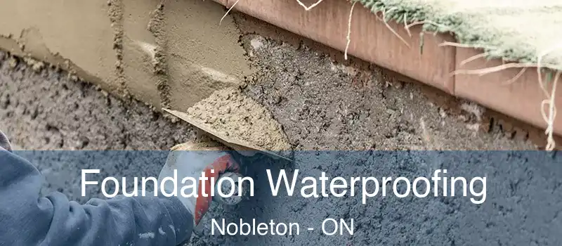  Foundation Waterproofing Nobleton - ON