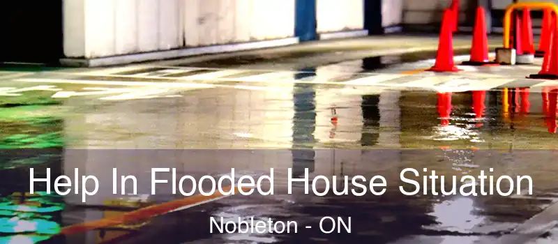  Help In Flooded House Situation Nobleton - ON