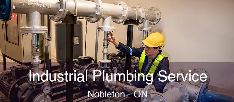  Industrial Plumbing Service Nobleton - ON