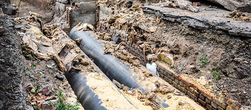 Commercial Sewer Tree Roots Damage Solutions in Nobleton, ON
