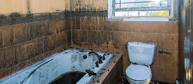 Residential Water Damage Restoration in Nobleton, ON