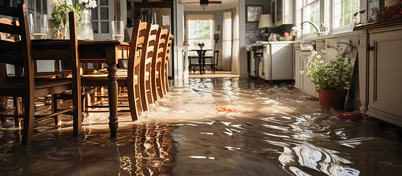 Flooded House Help Near Me in Nobleton, Ontario