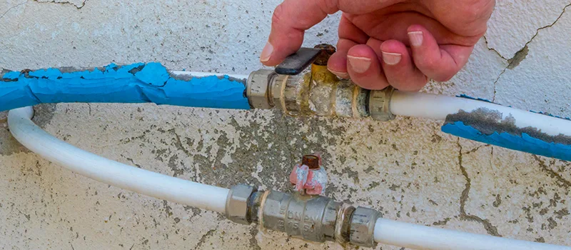 Ceiling Water Damage Repair in Nobleton, Ontario