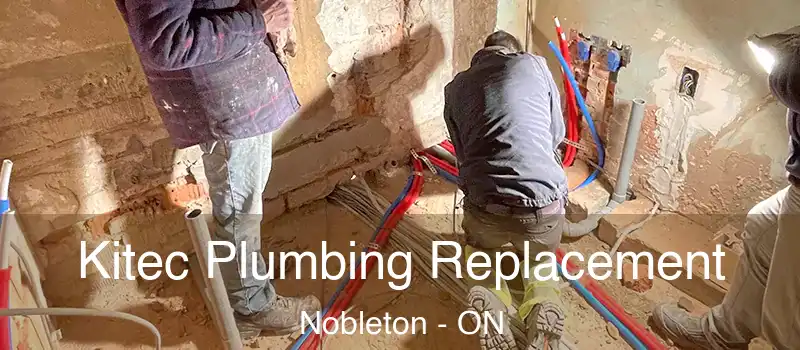  Kitec Plumbing Replacement Nobleton - ON