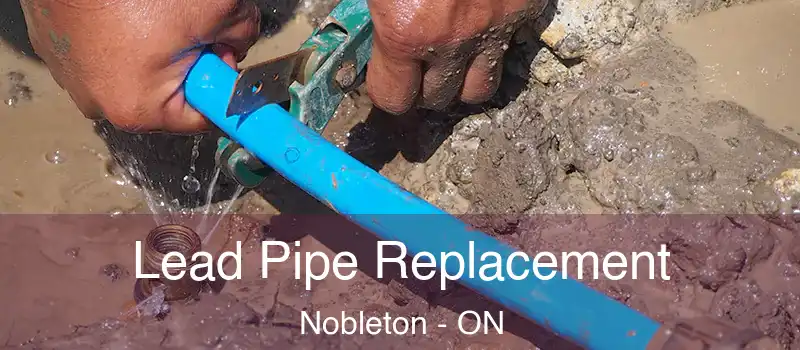  Lead Pipe Replacement Nobleton - ON