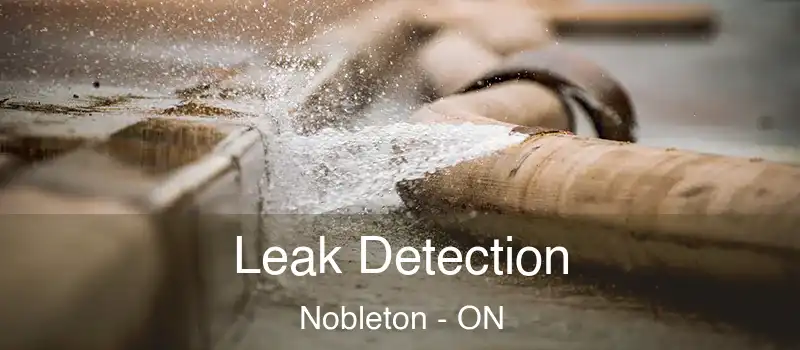  Leak Detection Nobleton - ON