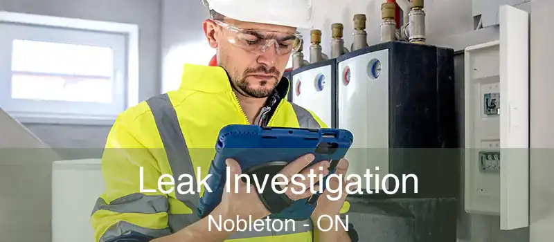  Leak Investigation Nobleton - ON