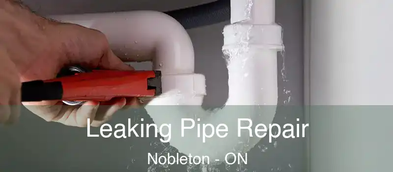  Leaking Pipe Repair Nobleton - ON