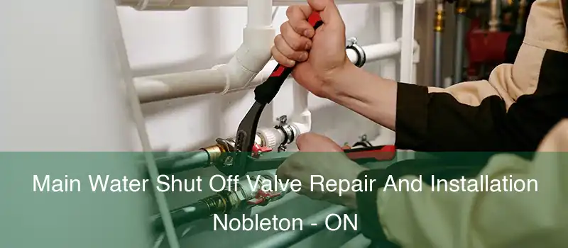  Main Water Shut Off Valve Repair And Installation Nobleton - ON