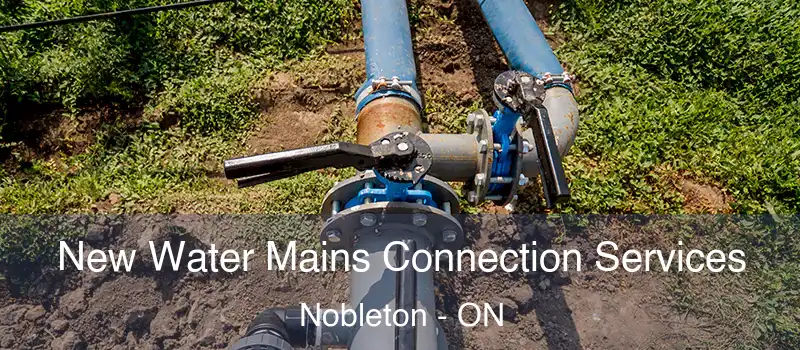  New Water Mains Connection Services Nobleton - ON