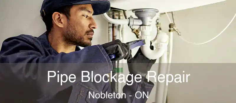  Pipe Blockage Repair Nobleton - ON