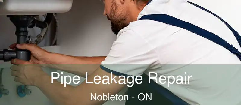  Pipe Leakage Repair Nobleton - ON