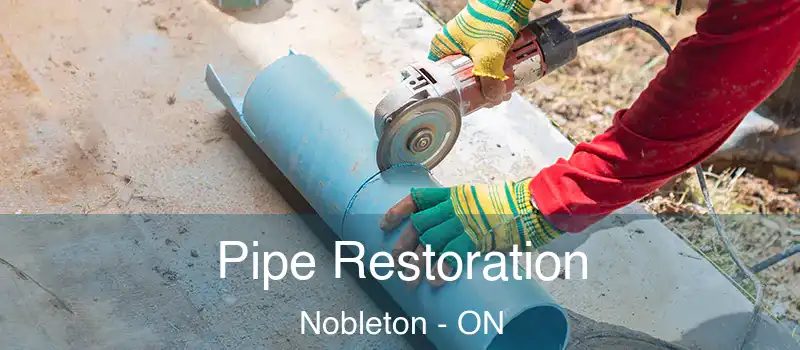  Pipe Restoration Nobleton - ON