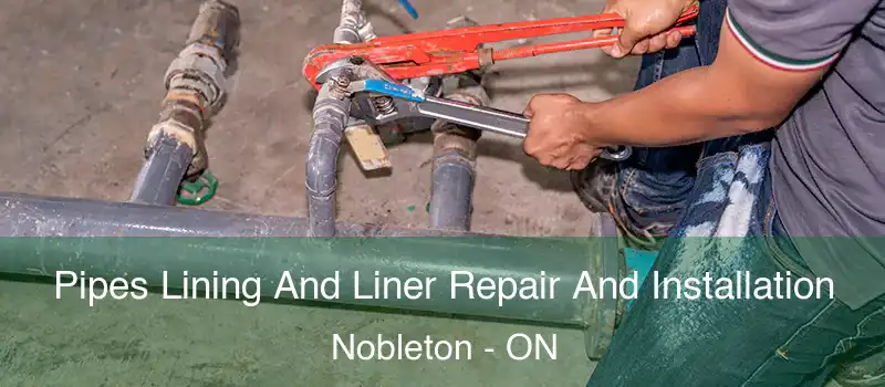  Pipes Lining And Liner Repair And Installation Nobleton - ON