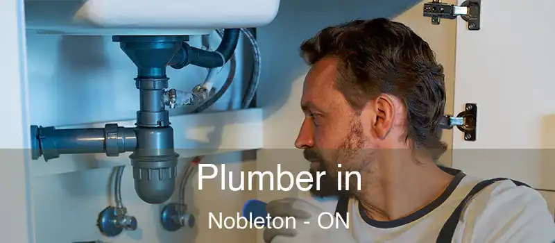  Plumber in Nobleton - ON