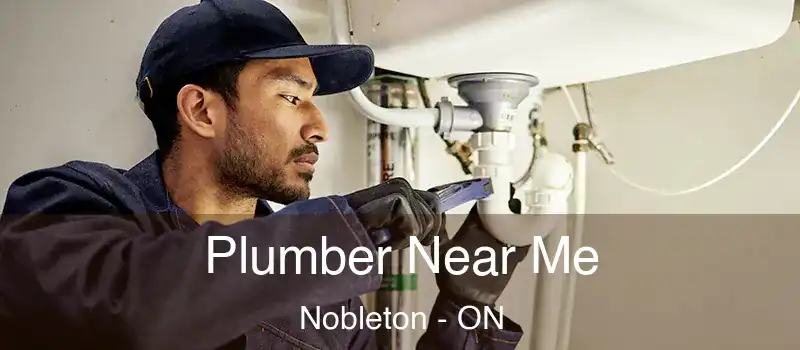  Plumber Near Me Nobleton - ON