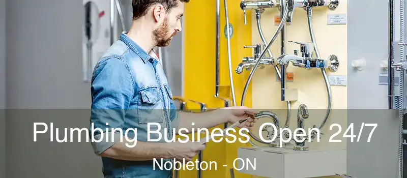  Plumbing Business Open 24/7 Nobleton - ON