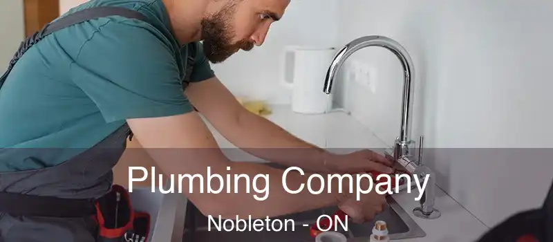  Plumbing Company Nobleton - ON