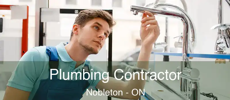  Plumbing Contractor Nobleton - ON